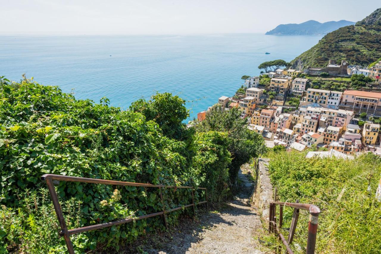 Riomaggiore Panoramic Apartment With Terrace! X6 Eksteriør billede